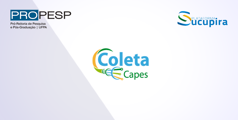 Calendário Coleta CAPES UFPA 2025