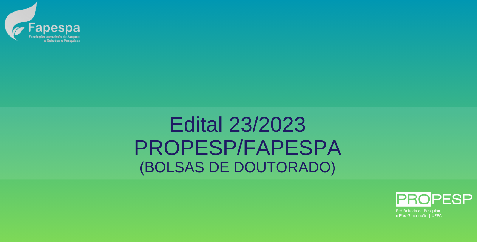 Edital 23/2023 - PROPESP/FAPESPA (Bolsas de Doutorado) - Resultado Preliminar da 2ª Fase